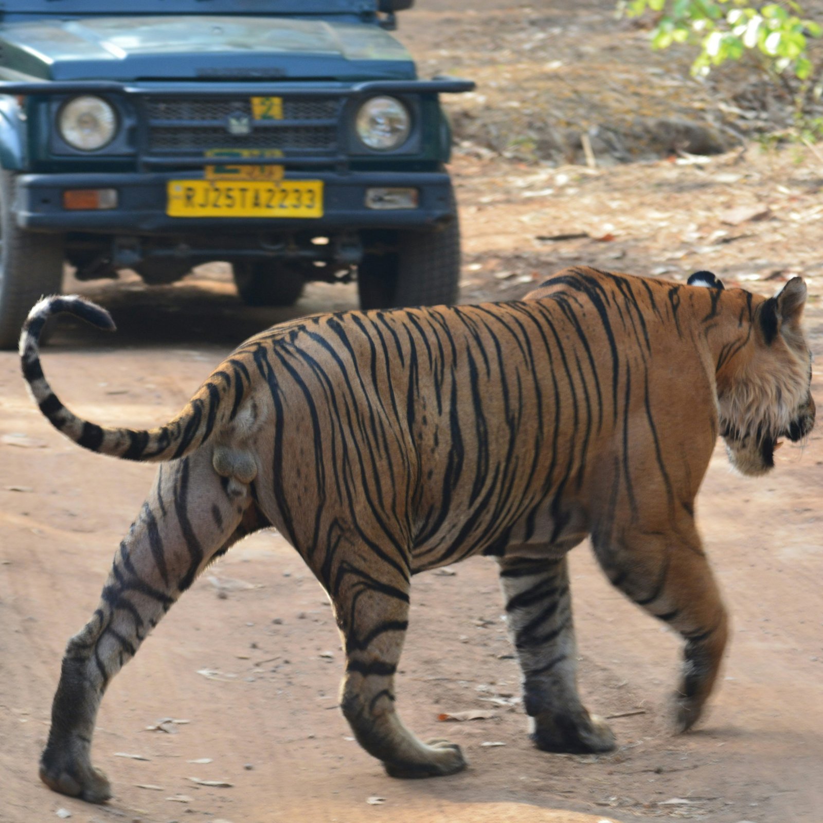 Colourful India Holiday
